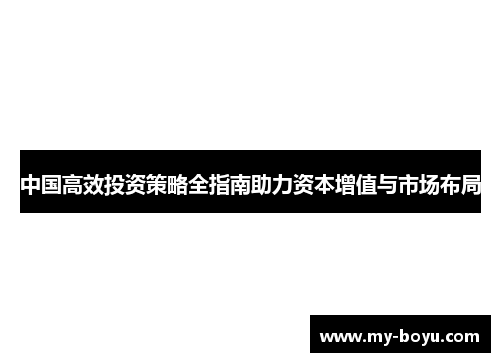 中国高效投资策略全指南助力资本增值与市场布局
